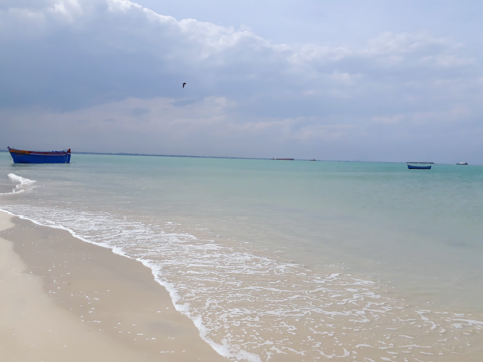 Foto van Hare island Beach wilde omgeving
