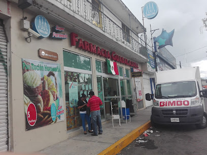 Farmacia Guadalajara, , San Miguel Zinacantepec