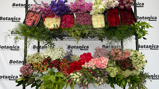 Florist «Botanica Wholesale Florist», reviews and photos, 3208 International Pl, Irving, TX 75062, USA