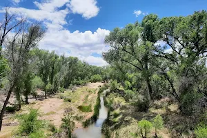 San Pedro River image