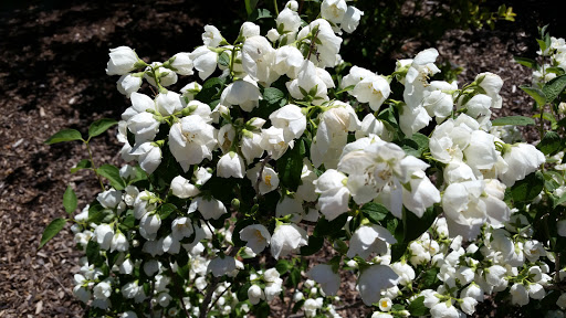 Botanical Garden «Conservation Garden Park», reviews and photos, 8275 1300 W, West Jordan, UT 84088, USA