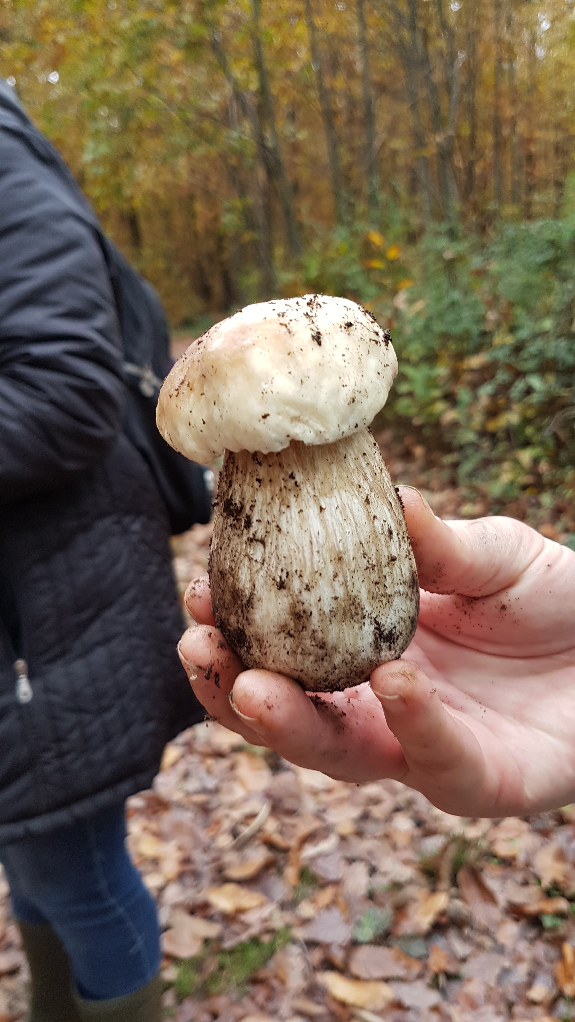 Photo n° 12 de l'avis de Brigitte.r fait le 02/11/2020 à 14:23