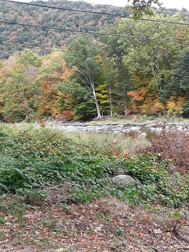 Restaurant «Forksville General Store & Restaurant», reviews and photos, 22 Bridge St, Forksville, PA 18616, USA