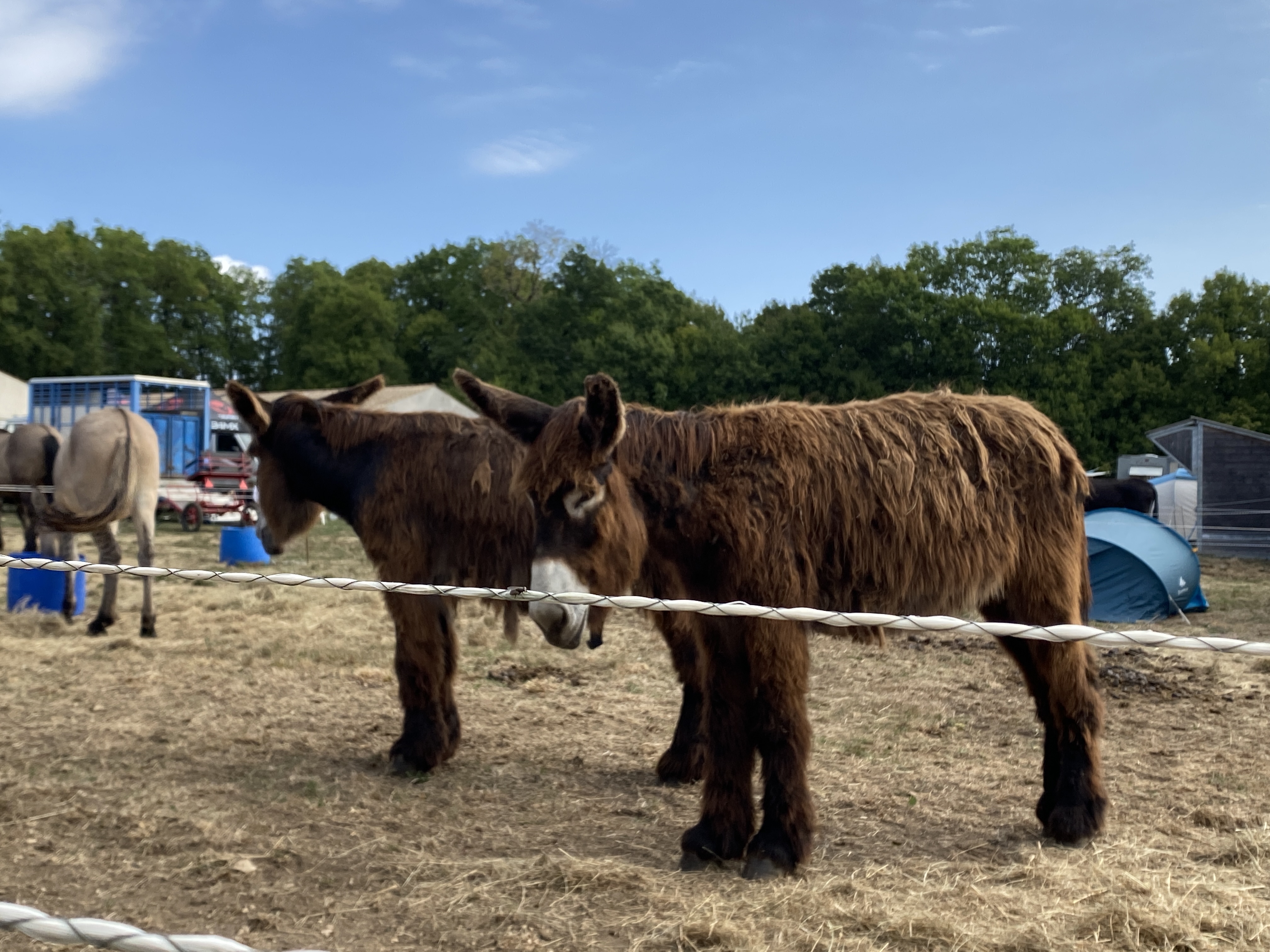 Photo n° 3 de l'avis de La72.o fait le 26/08/2022 à 10:36