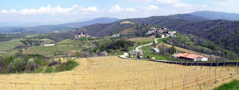 Tenuta La Ponca Srl - Societa' Agricola Località Scriò, 10, 34070 Dolegna del Collio GO, Italia