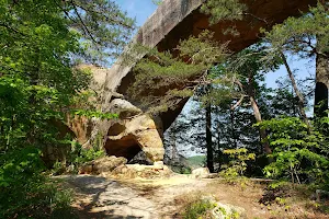 Daniel Boone National Forest image