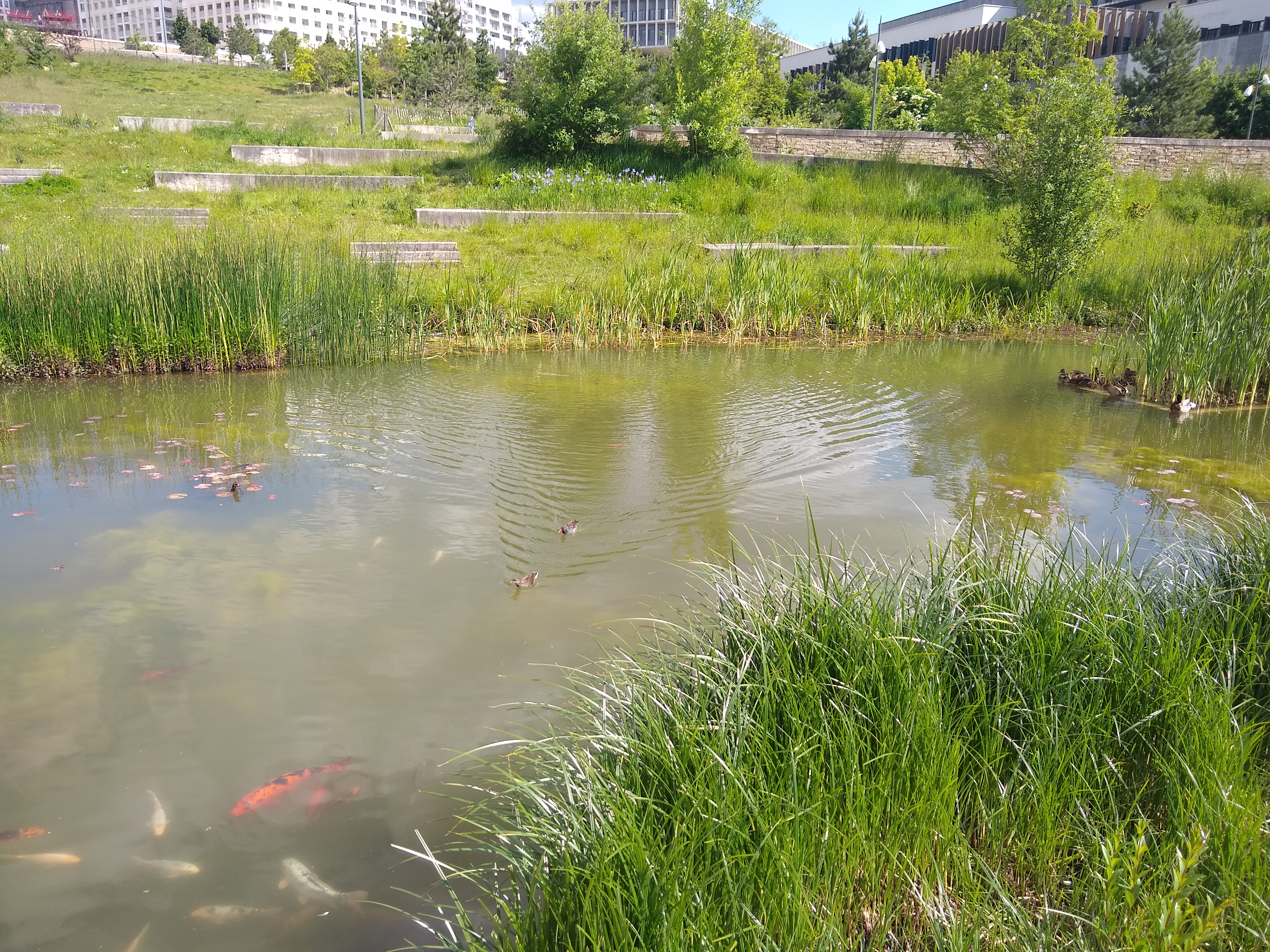 Photo n° 2 de l'avis de Cathy.a fait le 30/05/2021 à 16:18