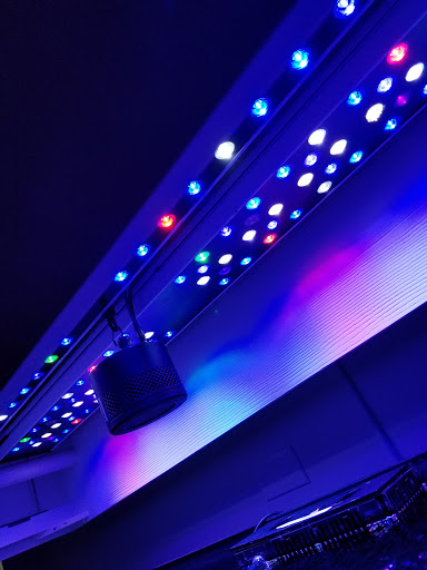 Pet Supply Store «Petco Animal Supplies», reviews and photos, 438 Southbridge St, Auburn, MA 01501, USA