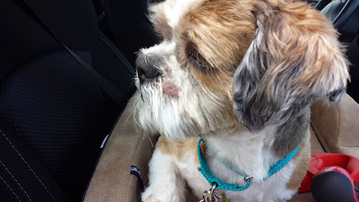 Pet Store «Back To Nature Pets & Grooming», reviews and photos, 110 N Dupont Hwy, New Castle, DE 19720, USA