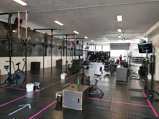 Gym «Reebok CrossFit Miami Beach», reviews and photos, 930 Alton Rd, Miami Beach, FL 33139, USA