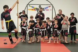 North Orange County Martial Arts image