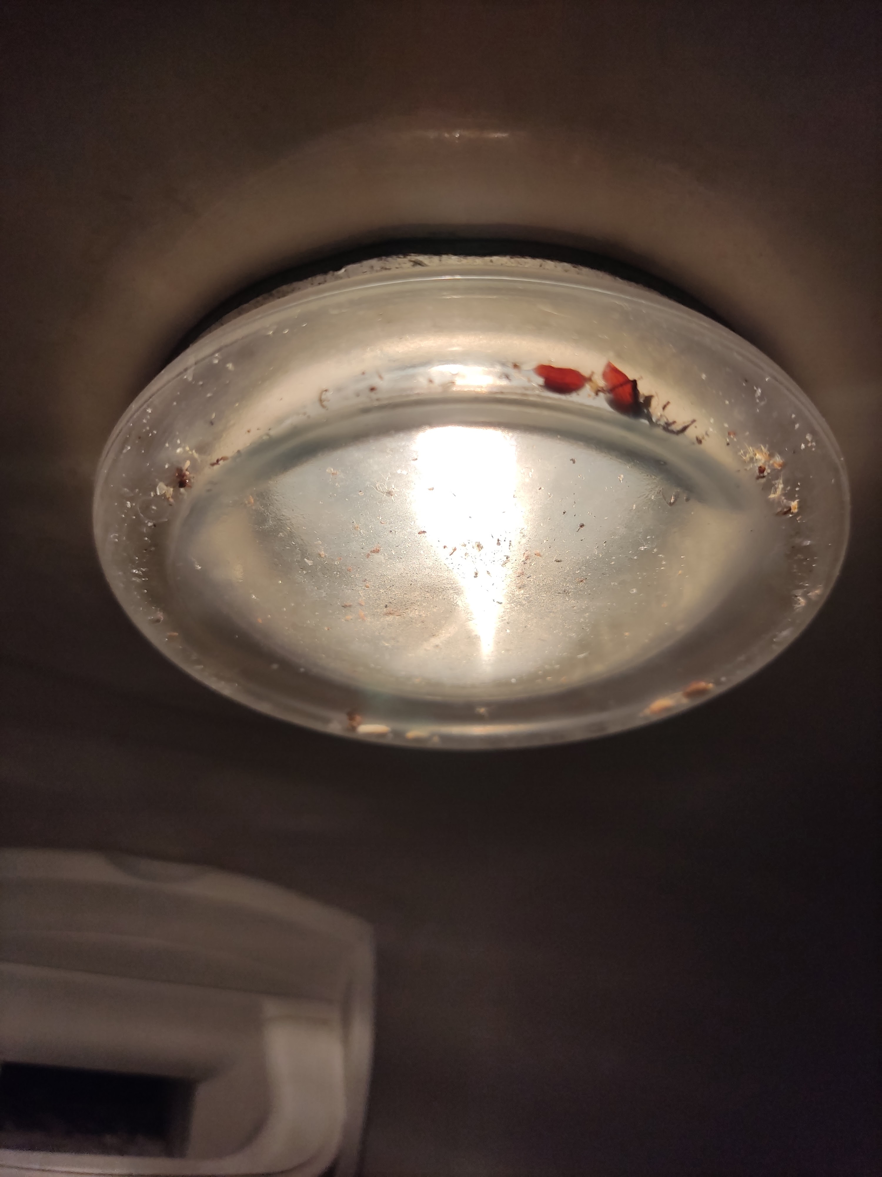Photo n° 4 de l'avis de Guillaume.A fait le 05/11/2022 à 06:51