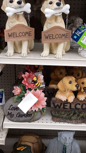 Discount Store «Big Lots», reviews and photos, 1941 Veterans Blvd, Dublin, GA 31021, USA