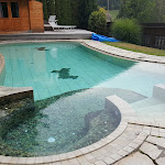 Photo n°5 de l'avis de Nadia.r fait le 14/08/2018 à 11:05 sur le  Hotel Fernblick à Sant'Andrea in Monte