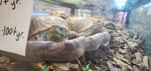 Pet Store «Animal Ark Pet Stores», reviews and photos, 33 Center St, Orem, UT 84057, USA