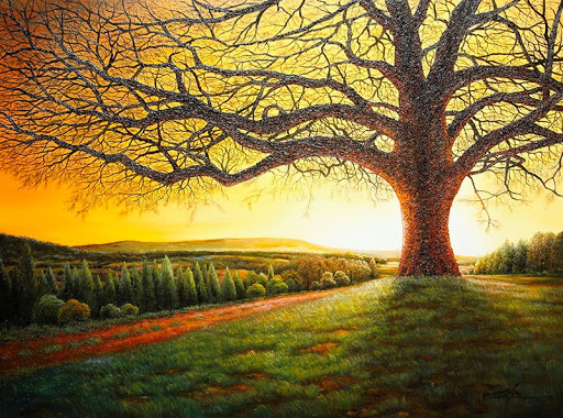 Marcus Ashley Gallery image