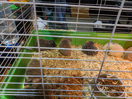 Convention Center «Northshore Harbor Center», reviews and photos, 100 Harbor Center Blvd, Slidell, LA 70461, USA