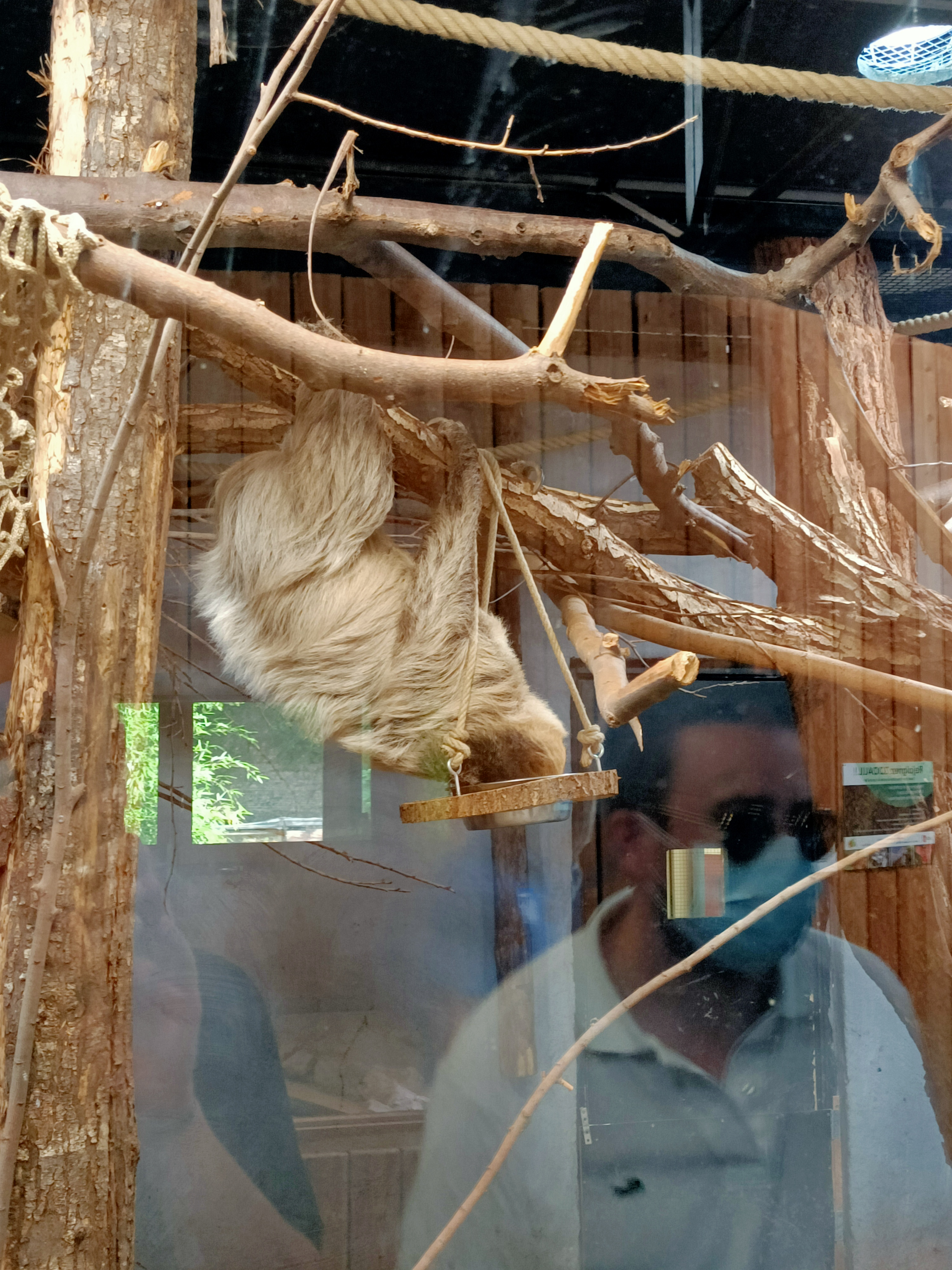 Photo n° 2 de l'avis de Quentin.r fait le 16/09/2021 à 07:24