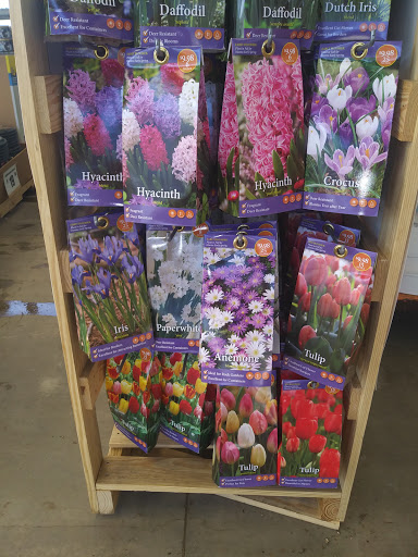 Home Improvement Store «The Home Depot», reviews and photos, 1710 Homer Adams Pkwy, Alton, IL 62002, USA