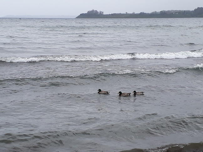 San Pedro 563, Puerto Varas, Los Lagos, Chile