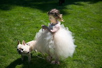 Pop the Question San Diego - Photo 4 - Car repair in Lakeside, CA, El Cajon