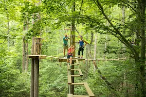 Go Ape Zipline and Adventure Park image