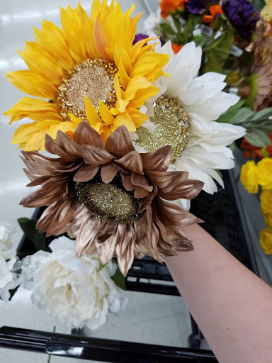 Craft Store «Michaels», reviews and photos, 45045 Worth Ave, California, MD 20619, USA