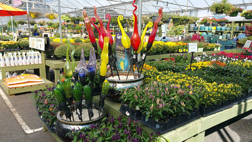 Garden Center «Pike Nurseries», reviews and photos, 6050 Bethelview Rd, Cumming, GA 30040, USA