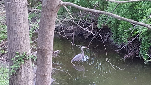 Park «Nature Center At Shaker Lakes», reviews and photos, 2600 S Park Blvd, Cleveland, OH 44120, USA