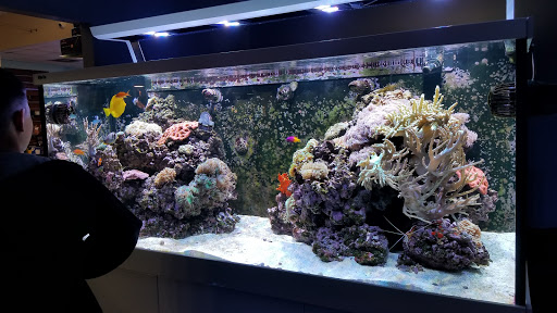 Aquarium «Aquatica», reviews and photos, 800 Clanton Rd H, Charlotte, NC 28117, USA