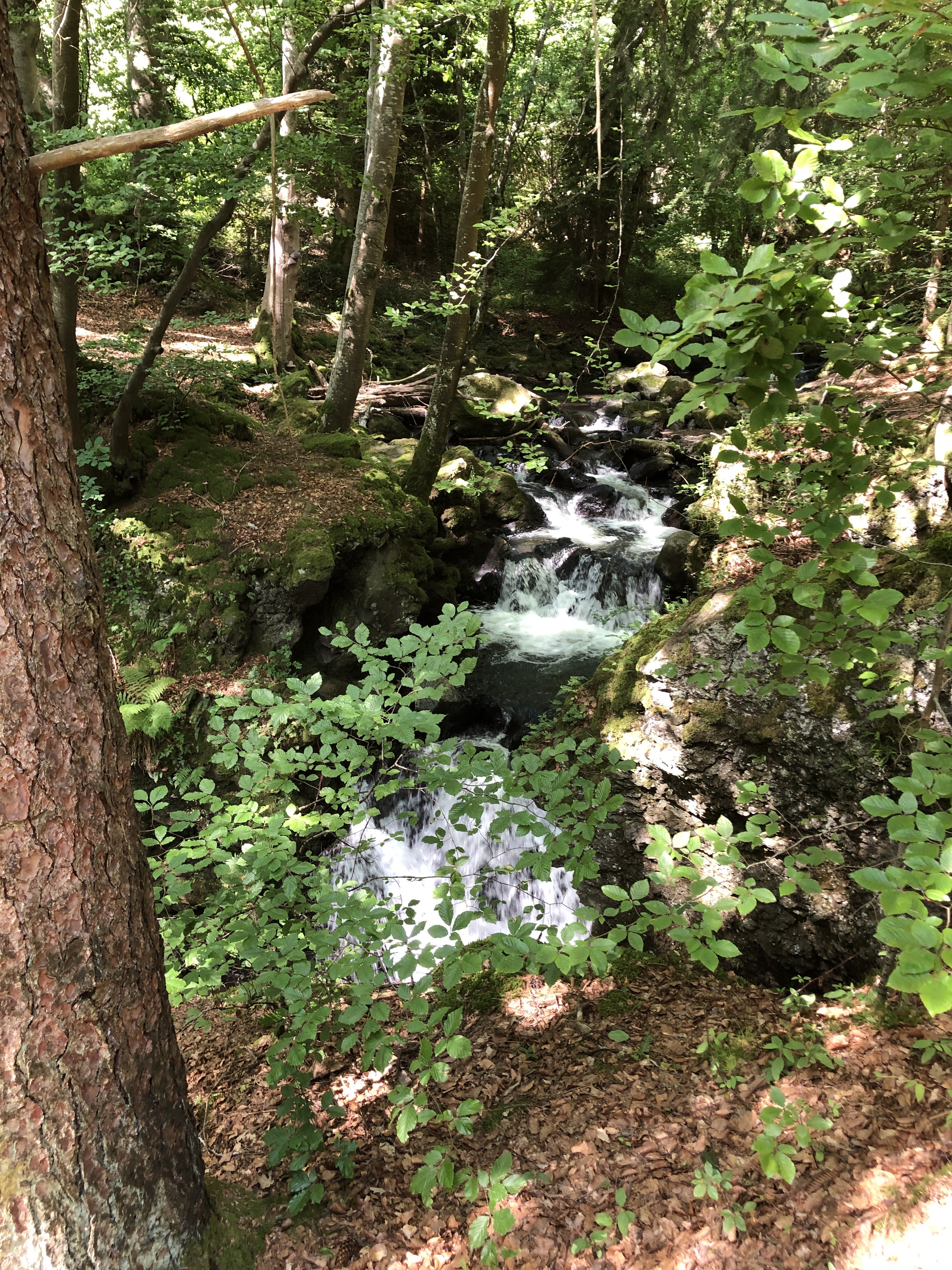 Photo n° 4 de l'avis de Didier.e fait le 26/06/2020 à 10:06