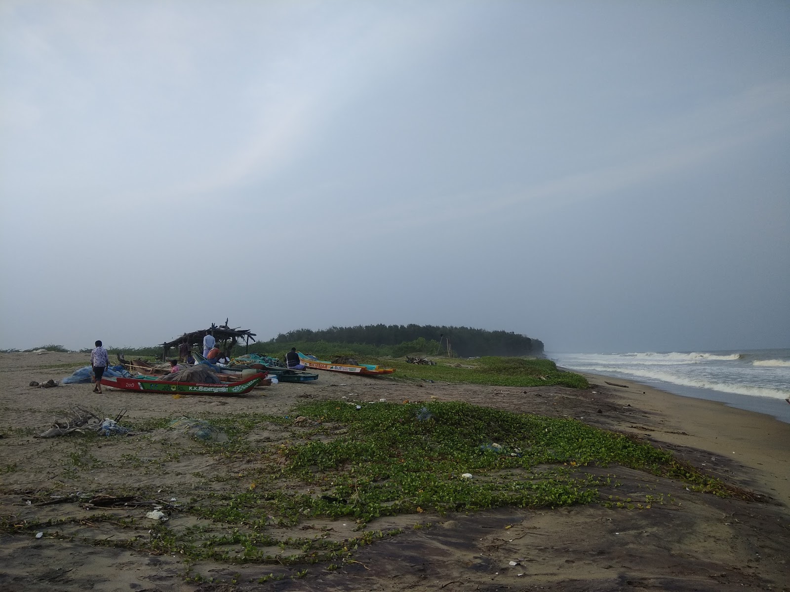 Foto van Thirumullaivasal Beach wilde omgeving