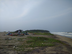 Zdjęcie Thirumullaivasal Beach dziki obszar