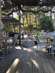 Photo n°34 de A Pineta à Zonza ()