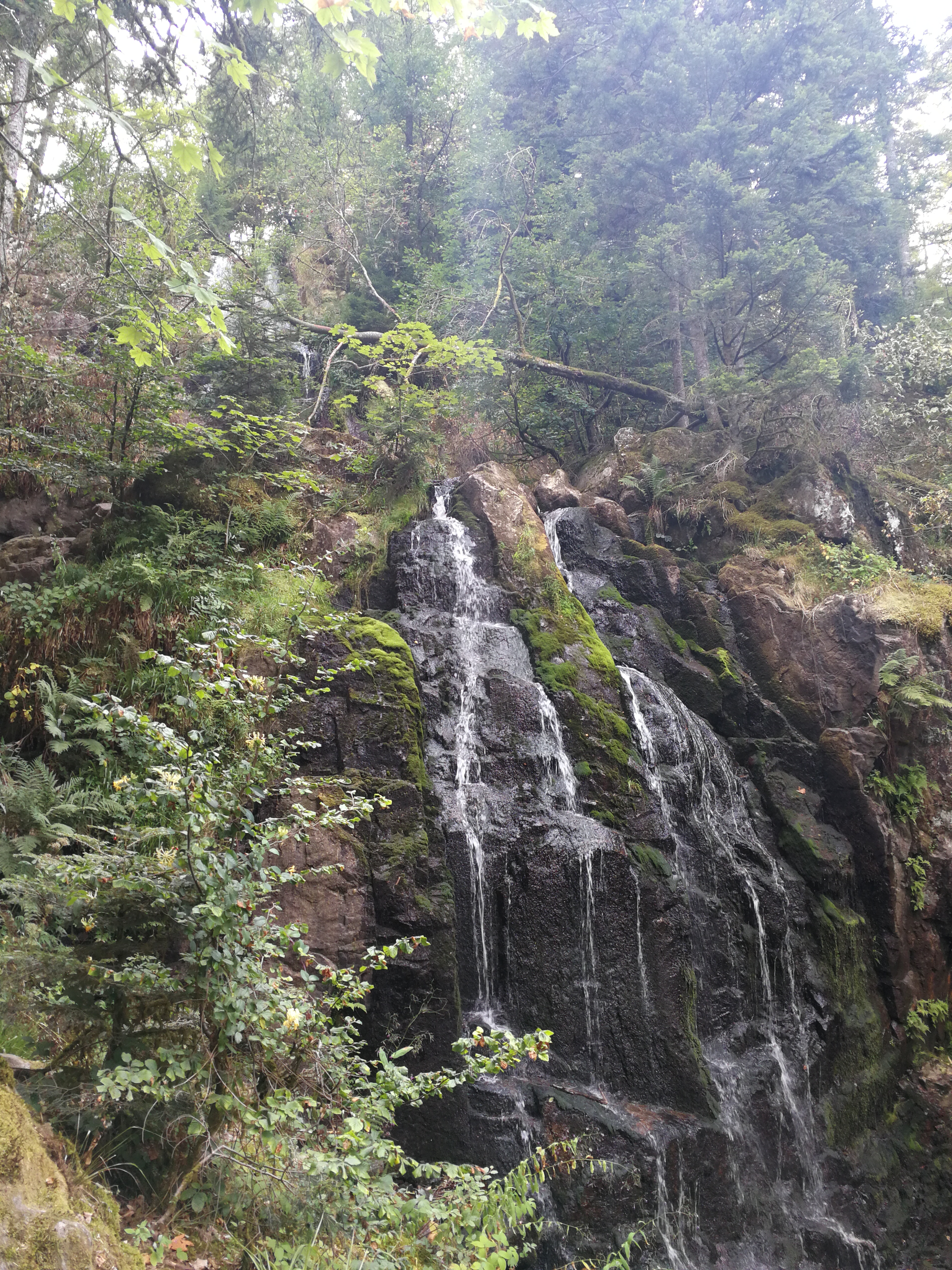 Photo n° 2 de l'avis de MARINA.A fait le 05/08/2018 à 16:25