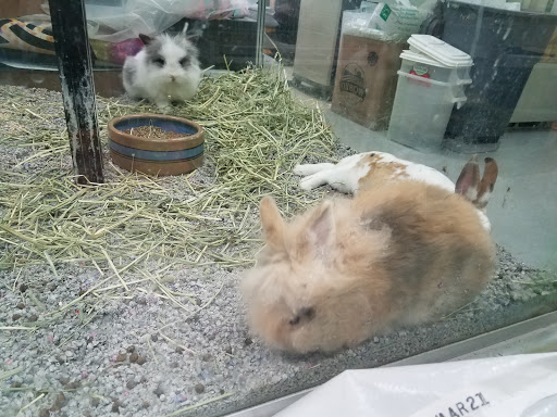 Pet Store «Coral Reef Pet Center», reviews and photos, 7723 W Lawrence Ave, Norridge, IL 60706, USA