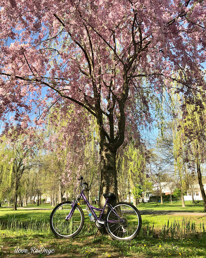 State Park «Valley Stream State Park», reviews and photos, Valley Stream State Park Rd, Valley Stream, NY 11580, USA