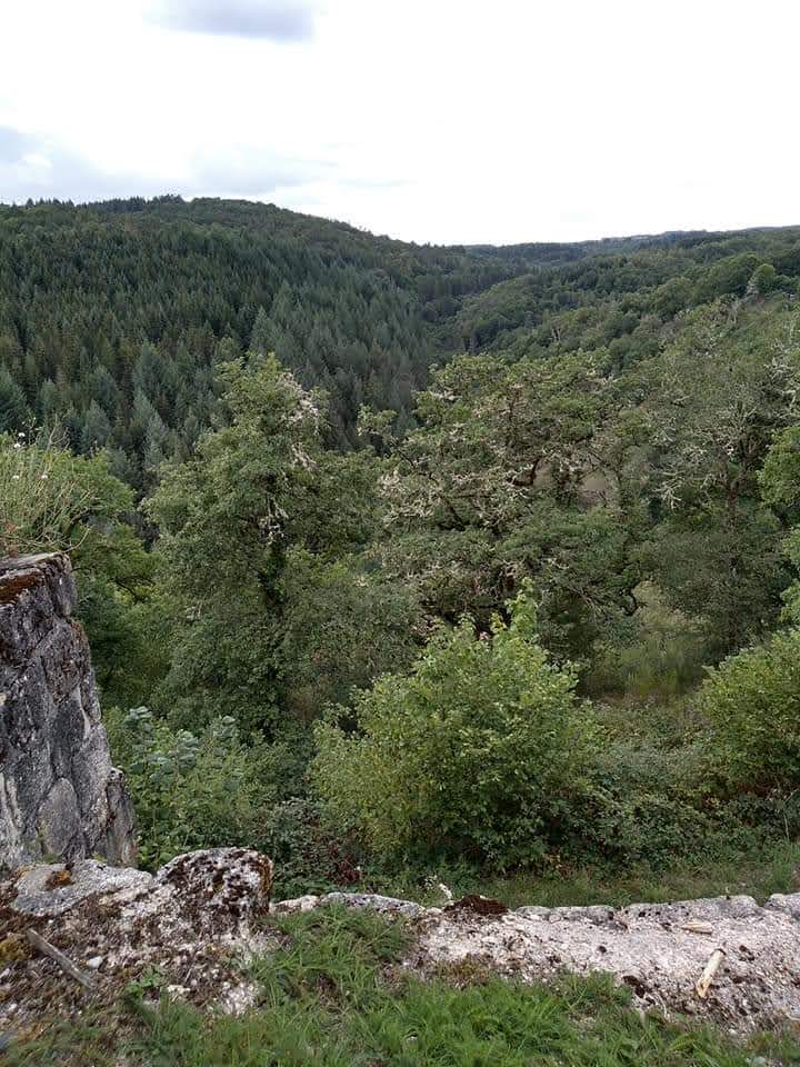 Photo n° 6 de l'avis de So.e fait le 23/08/2020 à 21:08