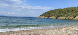 Tripce beach'in fotoğrafı vahşi alan