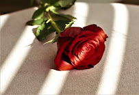 Darkroom Photography - Photo 4 - Car repair in , Corpus Christi