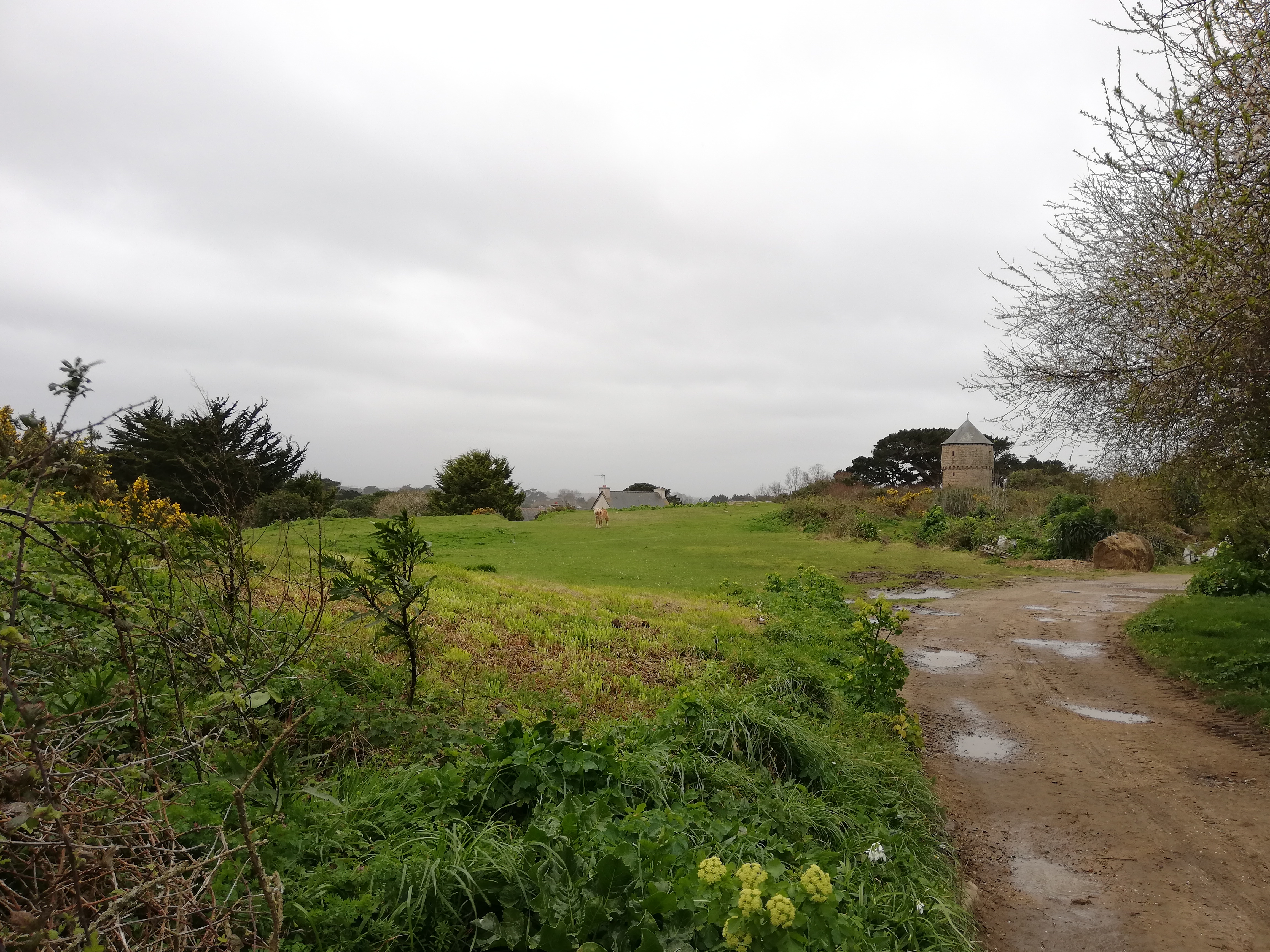 Photo n° 3 de l'avis de Simon.l fait le 14/03/2019 à 20:24