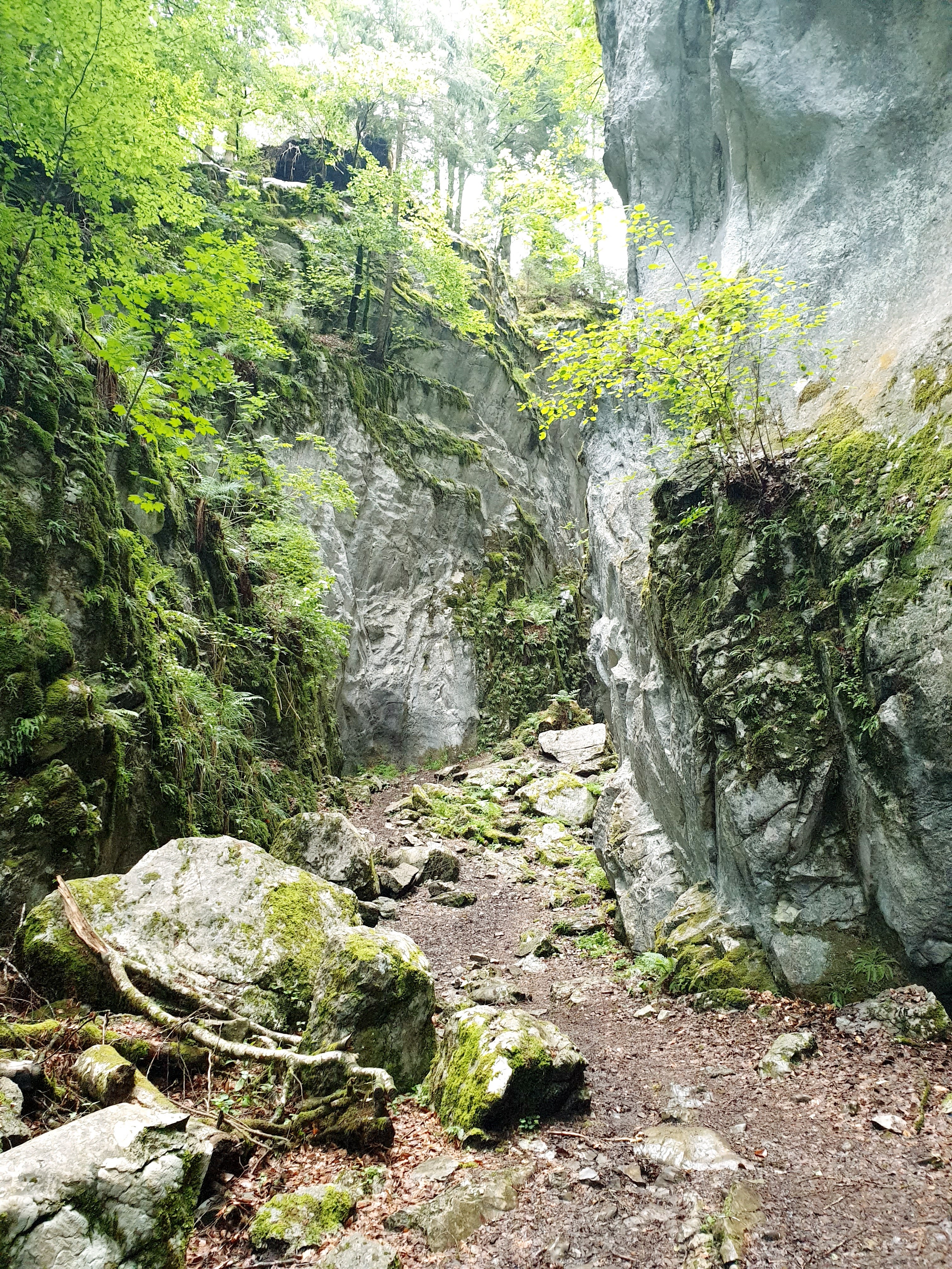 Photo n° 18 de l'avis de Gilles.H fait le 22/07/2020 à 15:28