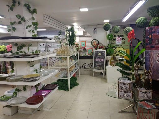 Tiendas para comprar plantas artificiales Cali