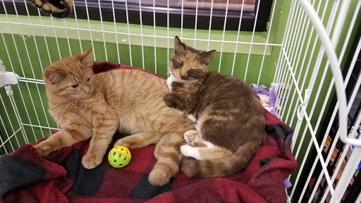 Pet Supply Store «Pet Supplies Plus», reviews and photos, 1810 Declaration Dr, Independence, KY 41051, USA