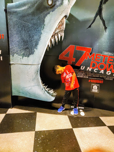 Movie Theater «AMC Studio 30», reviews and photos, 2949 Dunvale Rd, Houston, TX 77063, USA