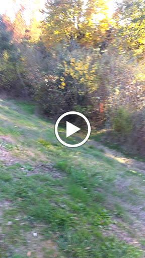 Park «Hogan Park», reviews and photos, 24400 Russell Rd, Kent, WA 98032, USA