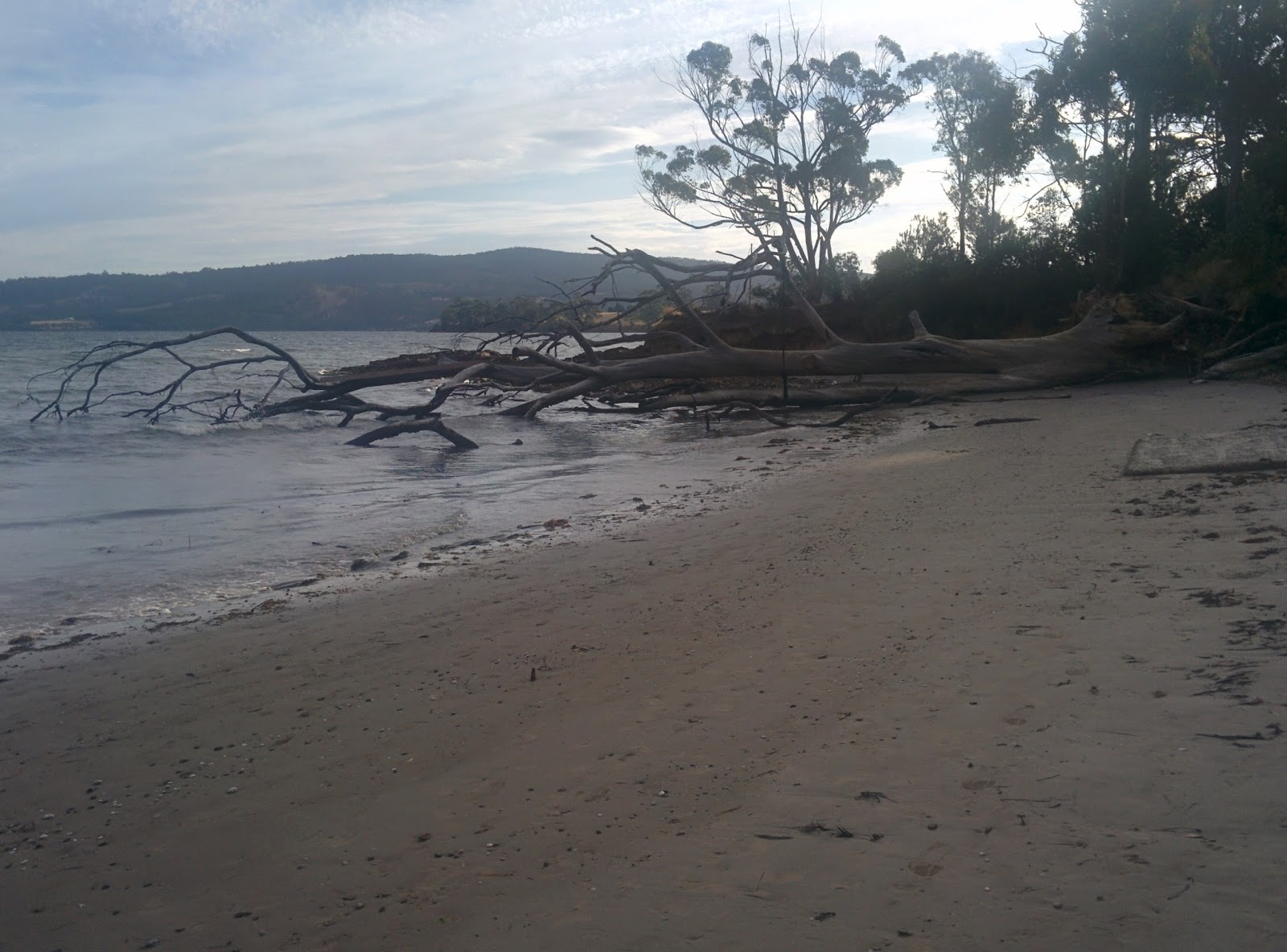 Foto av Drip Beach med medium nivå av renlighet