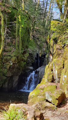 Cascade du Seebach à Sewen