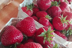 Ømosebær image