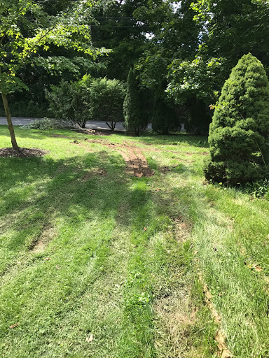 Moving Company «College Hunks Hauling Junk and Moving», reviews and photos, 316 E Union St, West Chester, PA 19382, USA